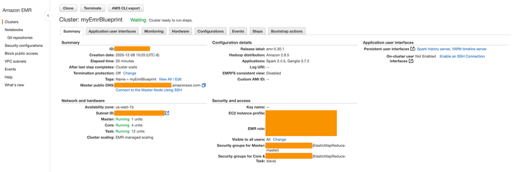 Amazon EMR console cluster overview