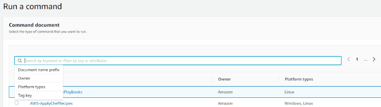 System Manager Run Command's command document entry field