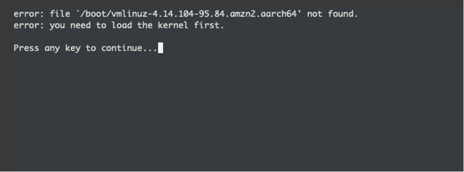 Figure 2: Linux boot failure - kernel not found