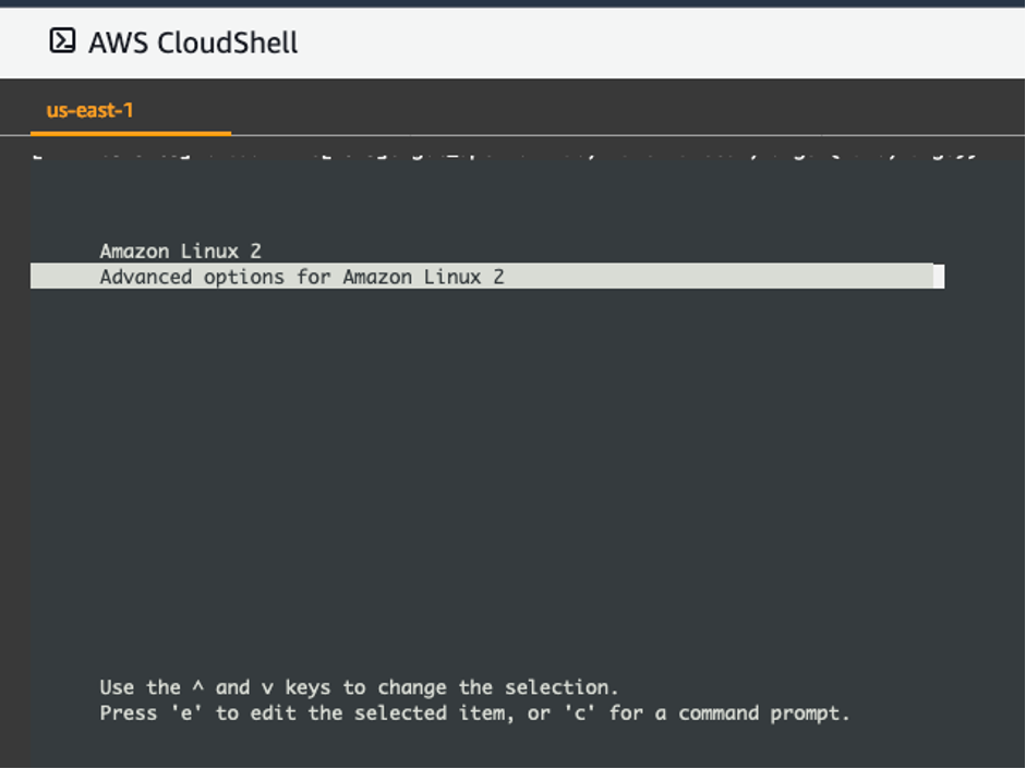 advanced options for linux2