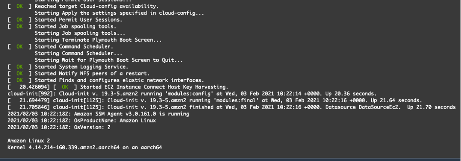 Figure 6 Successful boot of Amazon Linux 2
