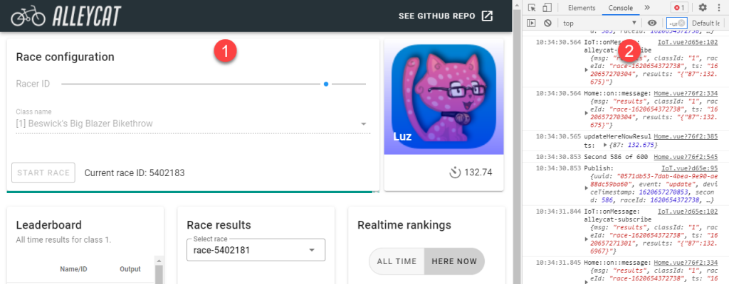 Frontend running locally