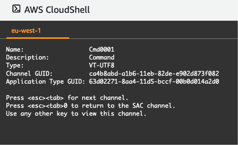 Figure 4 Channel information screen