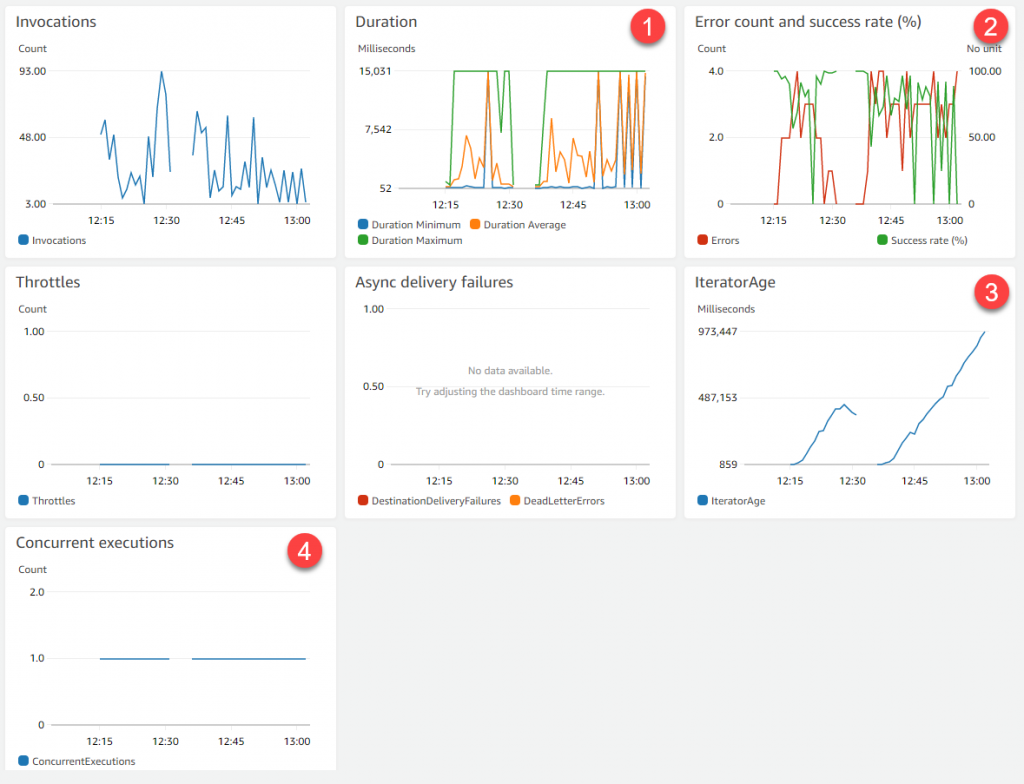Monitoring the Lambda function