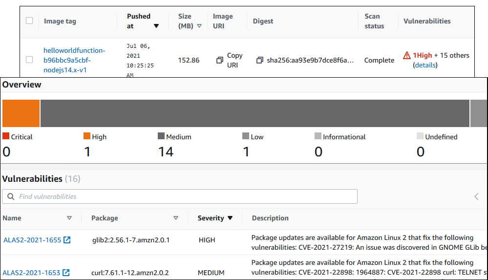 Elastic Container Registry image scanning example results