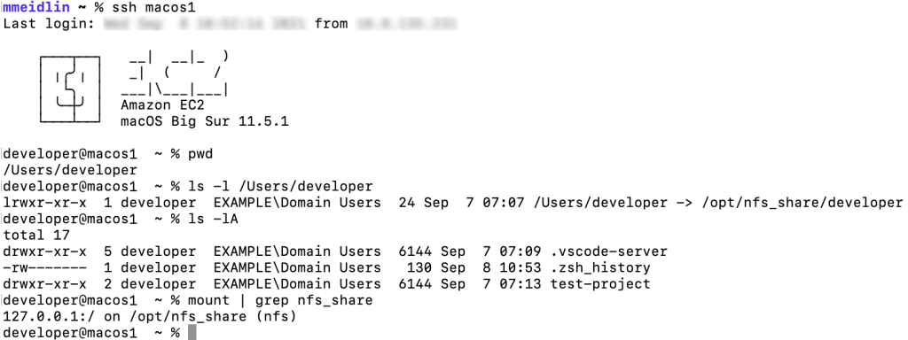 Screenshot from a terminal window after logging into the macos1 instance. Instructions for doing this are included in the blog text.