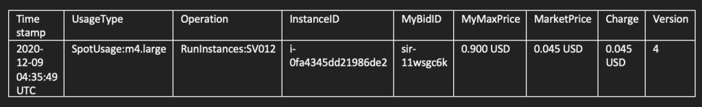 Sample Spot Instance data feed data
