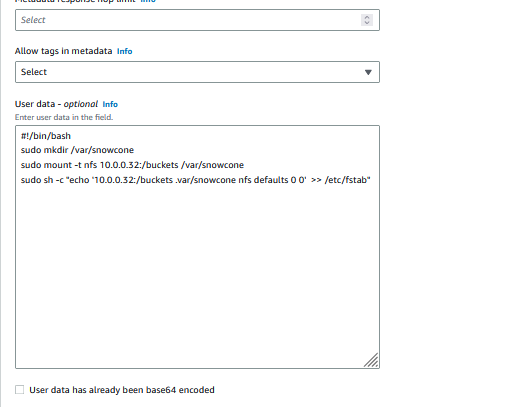 Screenshot of User Data section within the Amazon EC2 Launch Wizard