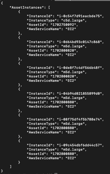 Figure 6 - list-asset-instances CLI command sample output