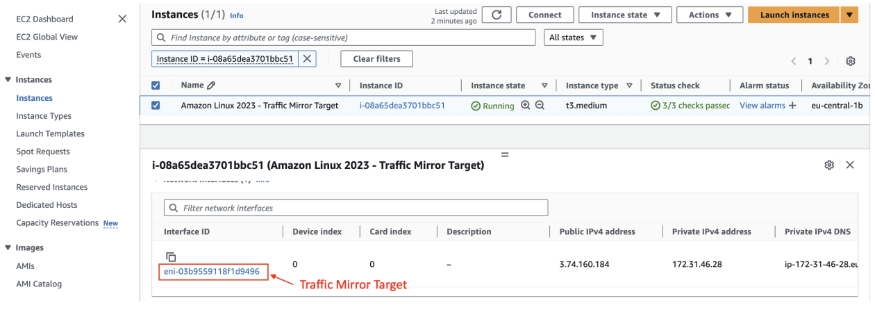 Figure 5: Traffic mirror target instance’s network interface