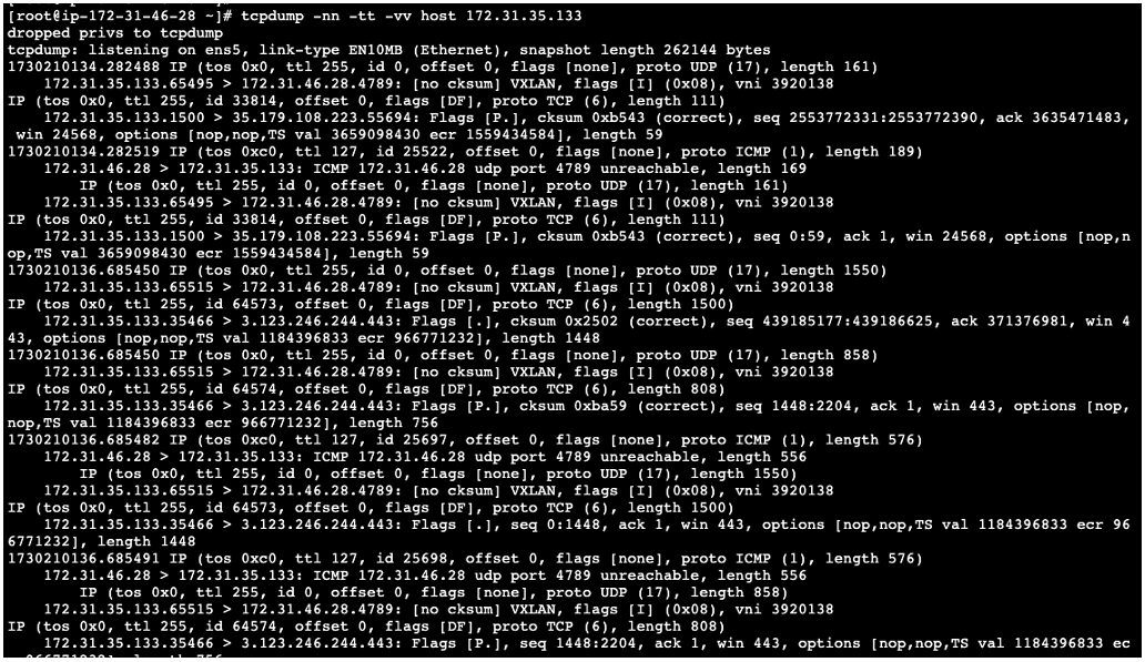 Figure 11: Monitoring mirrored traffic with tcpdump