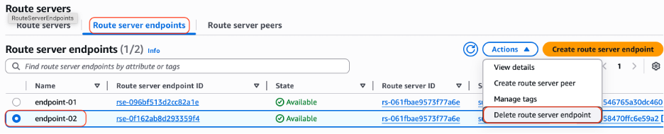 Figure 6: Route Server Endpoint Console