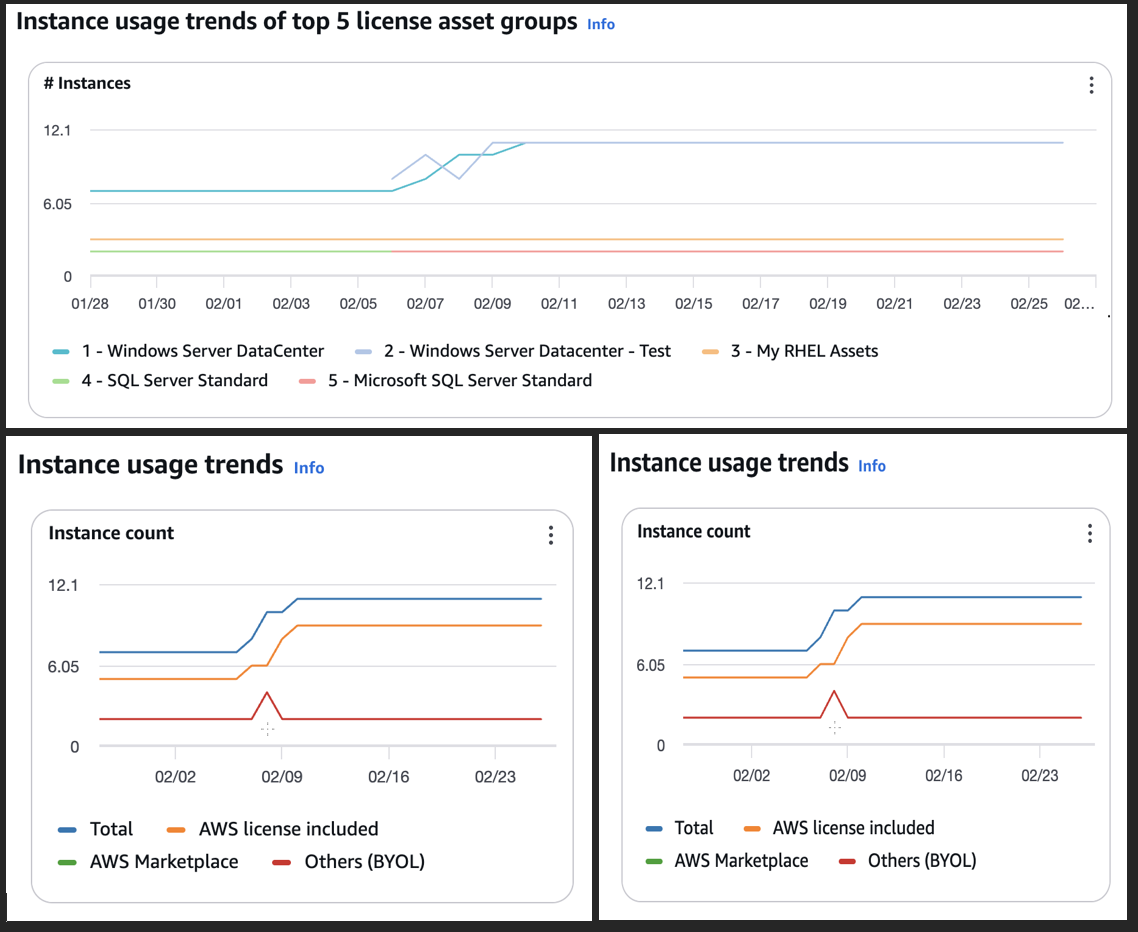 Figure 4: AWS License Manager analytics dashboard example