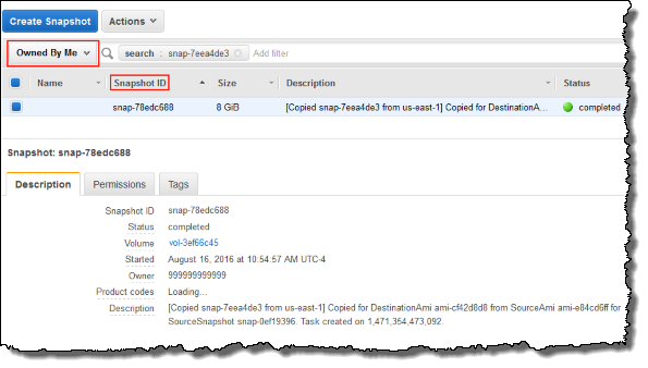 Screenshot of locating the Snapshot ID