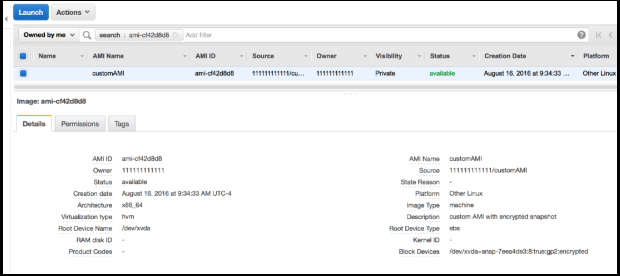 Screenshot of custom AMI with encrypted snapshots
