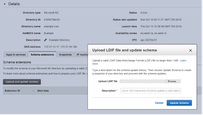 Screenshot of "Update LDIF file and update schema" window