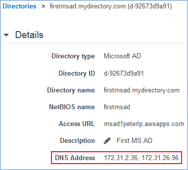 Screenshot of the two DC IP addresses for your Microsoft AD directory