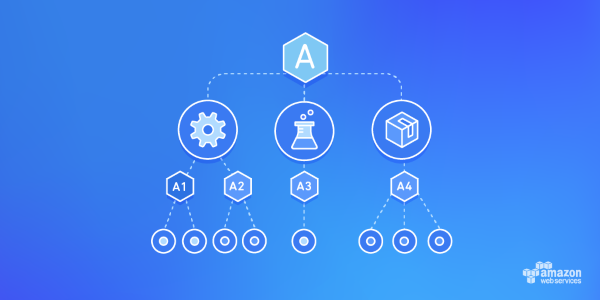 AWS Organizations service image