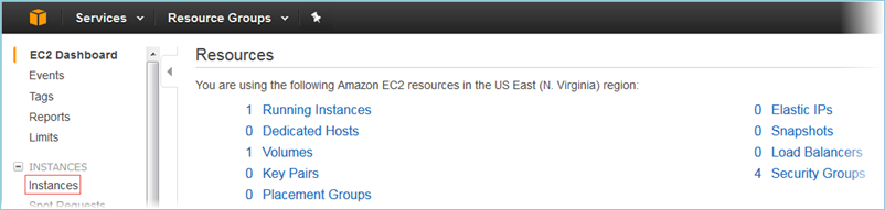 Screenshot of Instances in the navigation pane