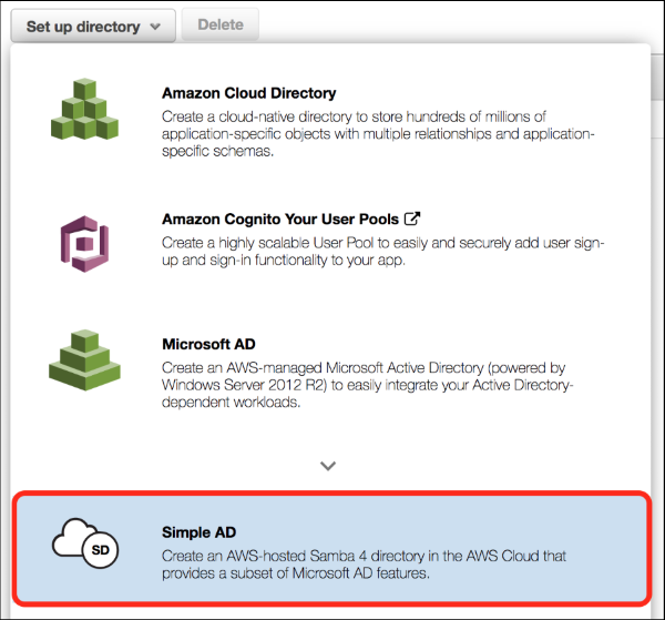 Screenshot of choosing "Simple AD"