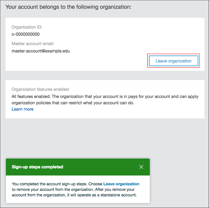 Screenshot showing the "Leave organization" option