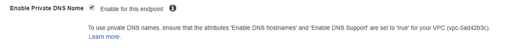 Figure 4: The "Enable Private DNS Name" checkbox 