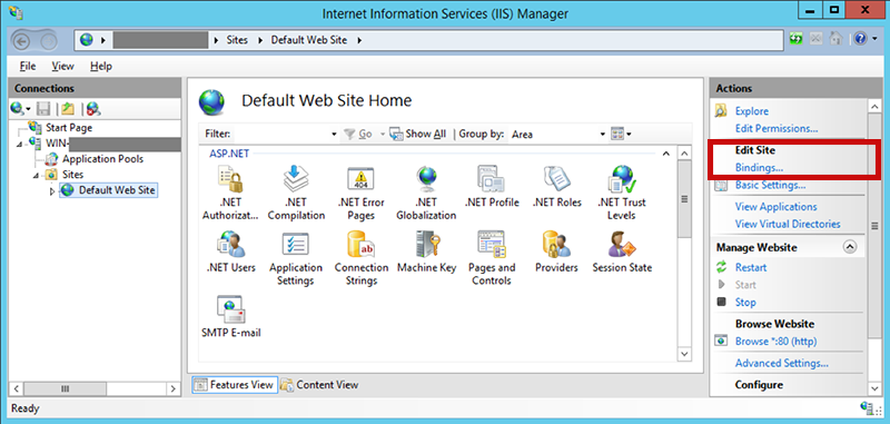 Figure 9: IIS Manager settings