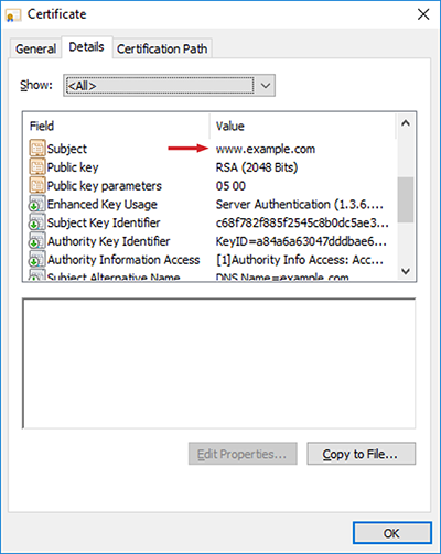 Figure 12: Server certificate details