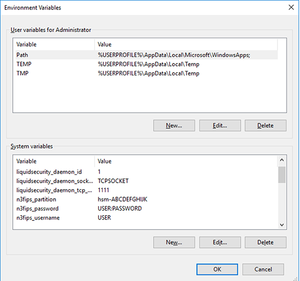 Figure 3: Environment variable settings
