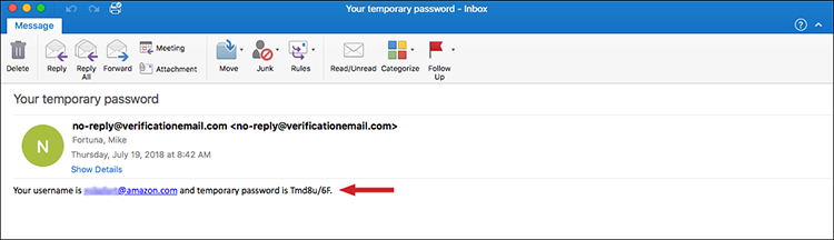 Figure 9: Example email with temporary password