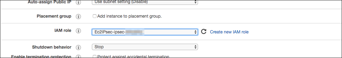 Figure 1: Select the IAM Role 
