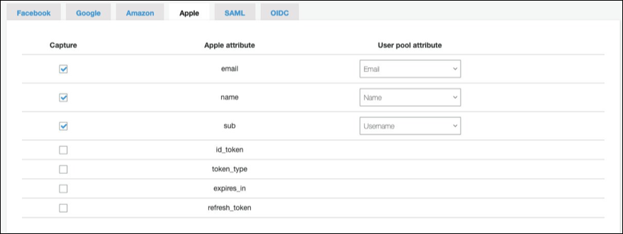 Figure 2: Select checkboxes and user pool attribute