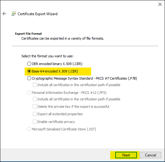 Figure 3: Select the base-64 encoded export file format