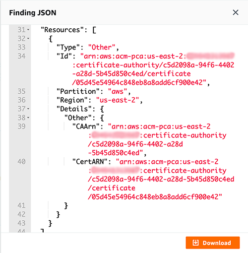 Figure 11: Details about the finding