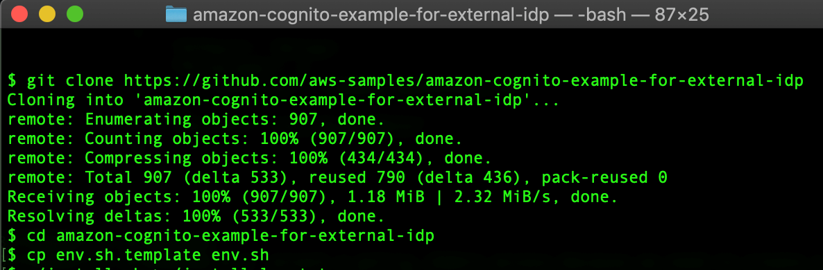 Figure 2: Cloning the example repository and copying the template configuration file