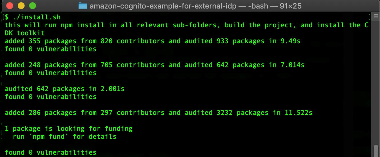 Figure 3: Installing dependencies
