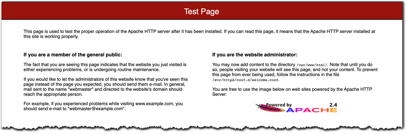 Figure 5: CloudFormation cfEndpoint test page