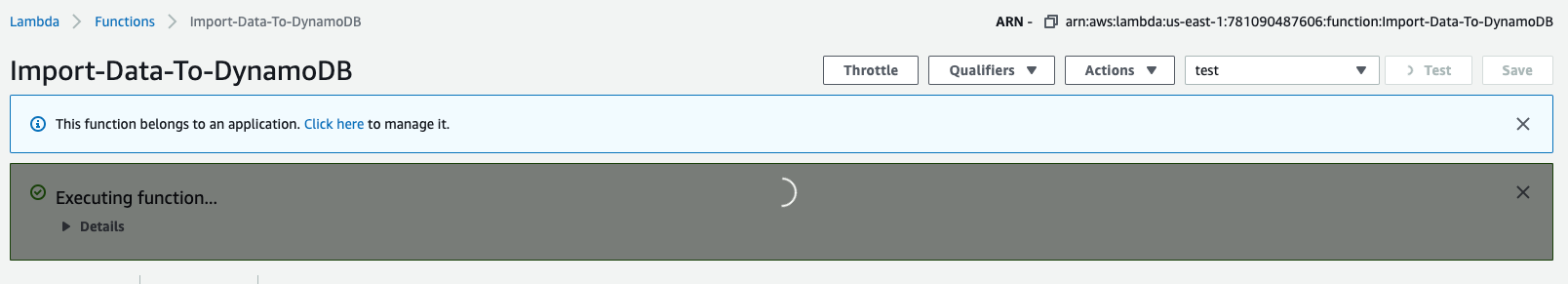 Figure 12: View of the Lambda function running