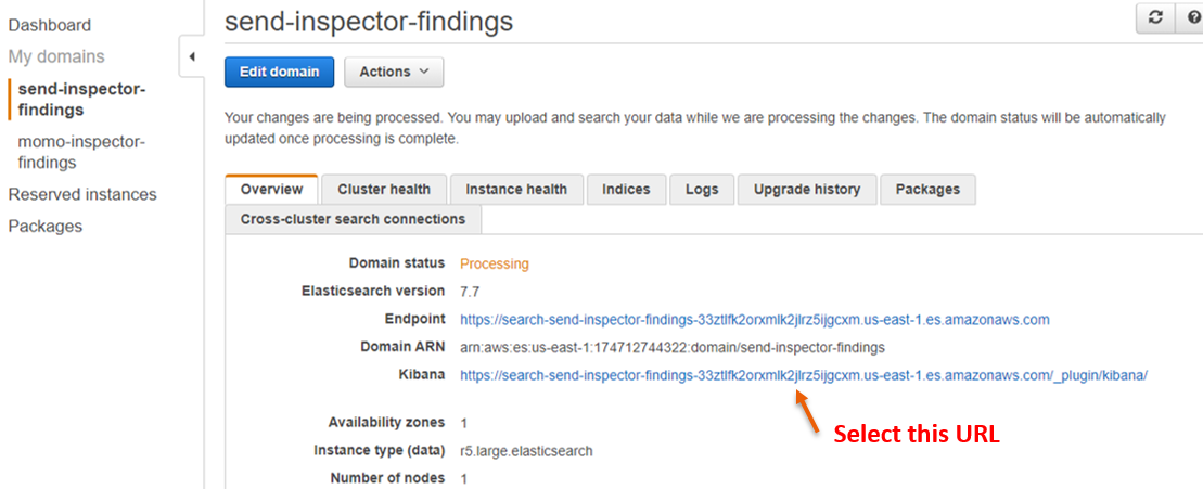 Figure 12: Amazon ES domain details page
