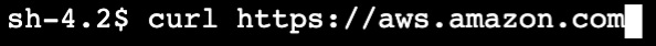 Figure 6: Retrieving web content from aws.amazon.com