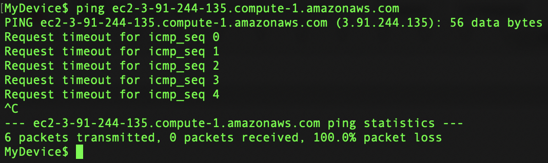 Figure 9: The web server no longer responds to ICMP echo requests