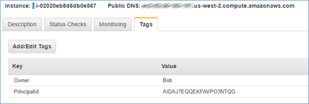 Screenshot showing that the instance has been automatically tagged with the Bob user name and user ID