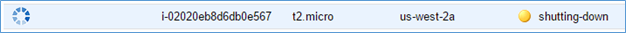 Screenshot showing the instance in the process of shutting down