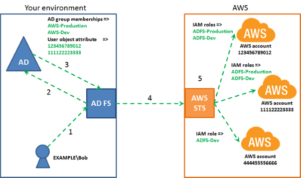 Diagram summarizing the workflow
