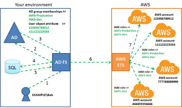 Diagram summarizing the workflow