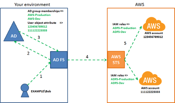 Diagram summarizing the workflow