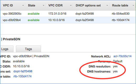 Image of DNS resolution and DNS hostnames enabled