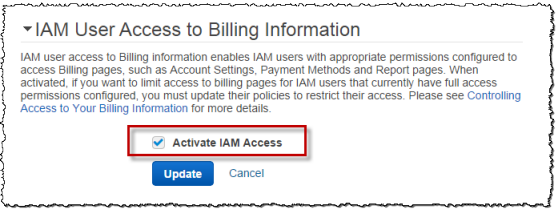 Screenshot of "Activate IAM Access" check box selected