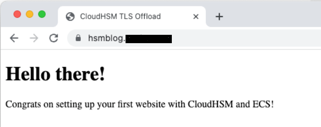 Figure 10: The sample website