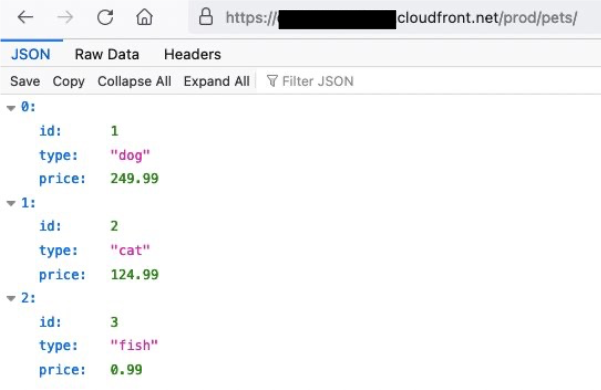 Figure 4: Successful API response when accessing API through CloudFront distribution